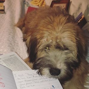 Meet your Posher, Madison